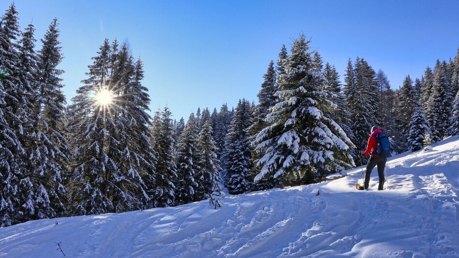 Schneeschuhwandern Schneeschuhwanderung Wildalm - Touren-Impression #2.6 | © Weges OG