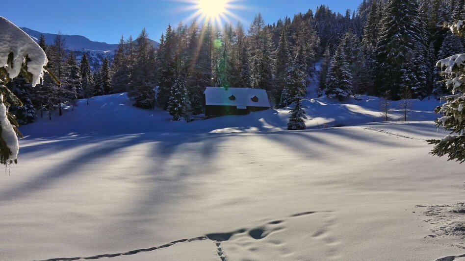 Schneeschuhwandern Schneeschuhwanderung Wildalm - Touren-Impression #2.8 | © Weges OG