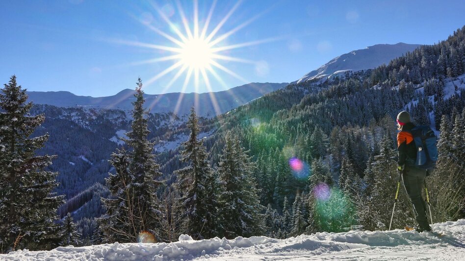 Schneeschuhwandern Schneeschuhwanderung Wildalm - Touren-Impression #2.1 | © Weges OG