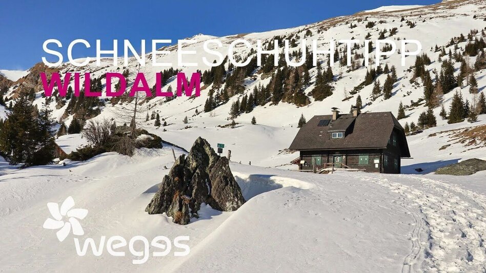 Schneeschuhwandern Schneeschuhwanderung Wildalm - Touren-Impression #2.13 | © wegesaktiv