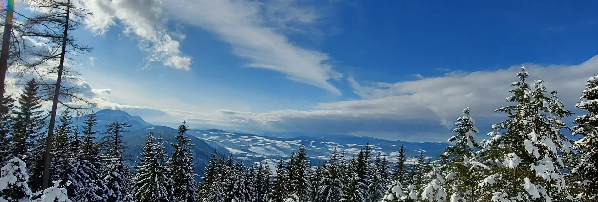 Winterwandern Patscha Winterwanderung - Touren-Impression #1 | © Oststeiermark Tourismus