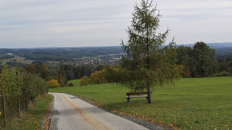 Radfahren Drei-Schlösser-Tour im Hartbergland - Touren-Impression #2.4 | © Oststeiermark Tourismus