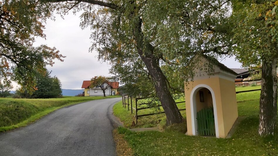 Radfahren Drei-Schlösser-Tour im Hartbergland - Touren-Impression #2.9 | © Oststeiermark Tourismus