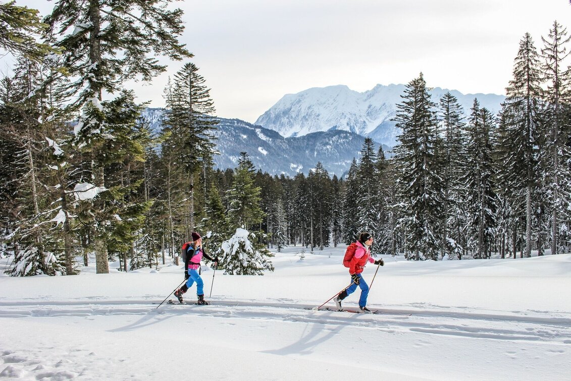 Skitour Skitour auf die Tauplitzalm über "alten Almweg" - Touren-Impression #1 | © TVB Ausseerland - Salzkammergut