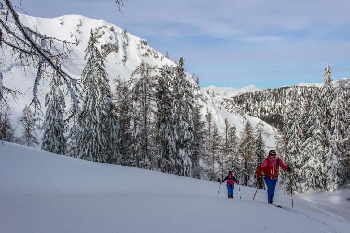 Skitour Skitour auf das Große Tragl - Touren-Impression #1 | © Tourismusverband Ausseerland Salzkammergut
