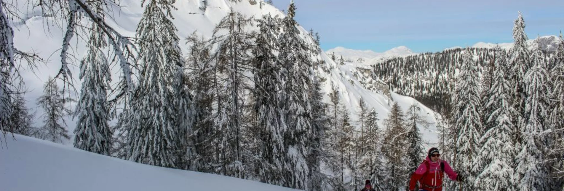 Skitour Skitour auf das Große Tragl - Touren-Impression #1 | © TVB Ausseerland-Salzkammergut_Berghasen