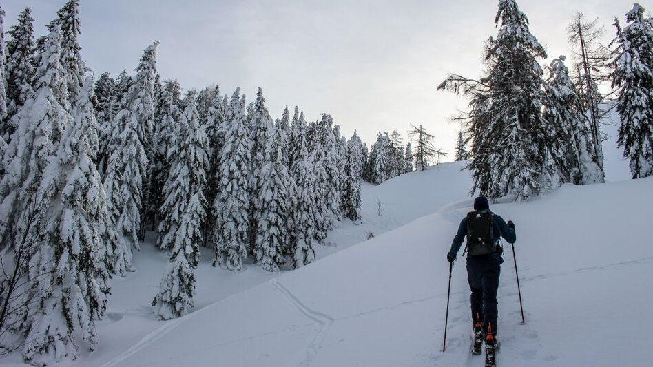 Skitour Skitour auf das Große Tragl - Touren-Impression #2.3 | © Tourismusverband Ausseerland Salzkammergut