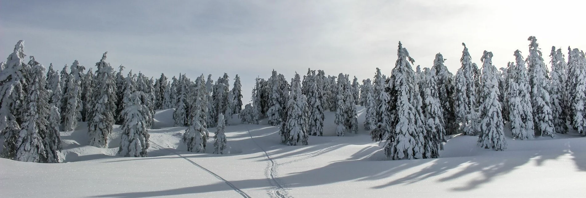 Skitour Skitour auf den Rosskogel - Touren-Impression #1 | © TVB Ausseerland - Salzkammergut