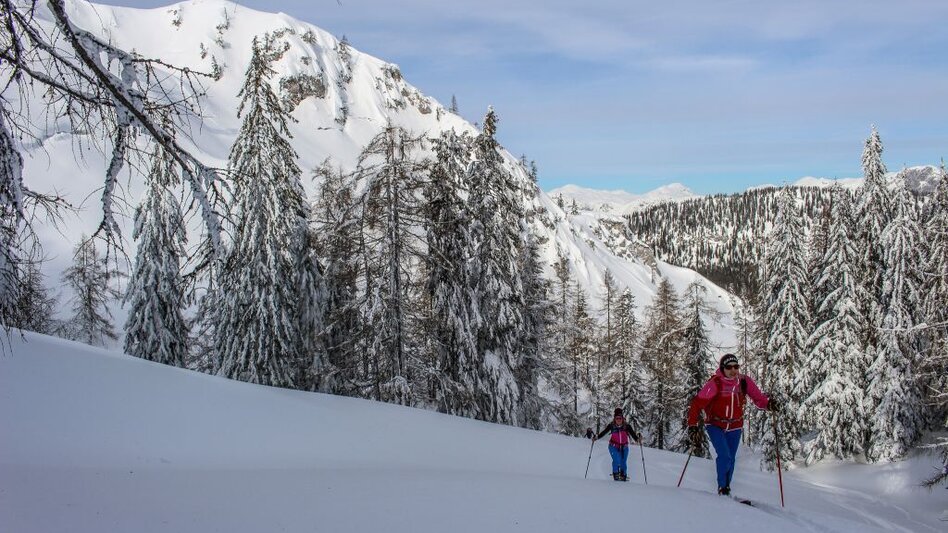 Skitour Skitour auf den Rosskogel - Touren-Impression #2.4 | © Tourismusverband Ausseerland Salzkammergut