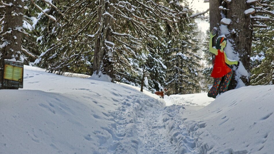 Schneeschuhwandern Edelrautehütte - markierter Schneeschuh-Trail in Hohentauern - Touren-Impression #2.2 | © Weges OG