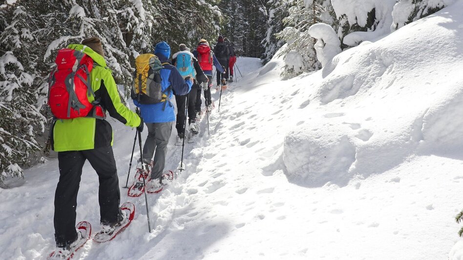 Schneeschuhwandern Edelrautehütte - markierter Schneeschuh-Trail in Hohentauern - Touren-Impression #2.5 | © Weges OG
