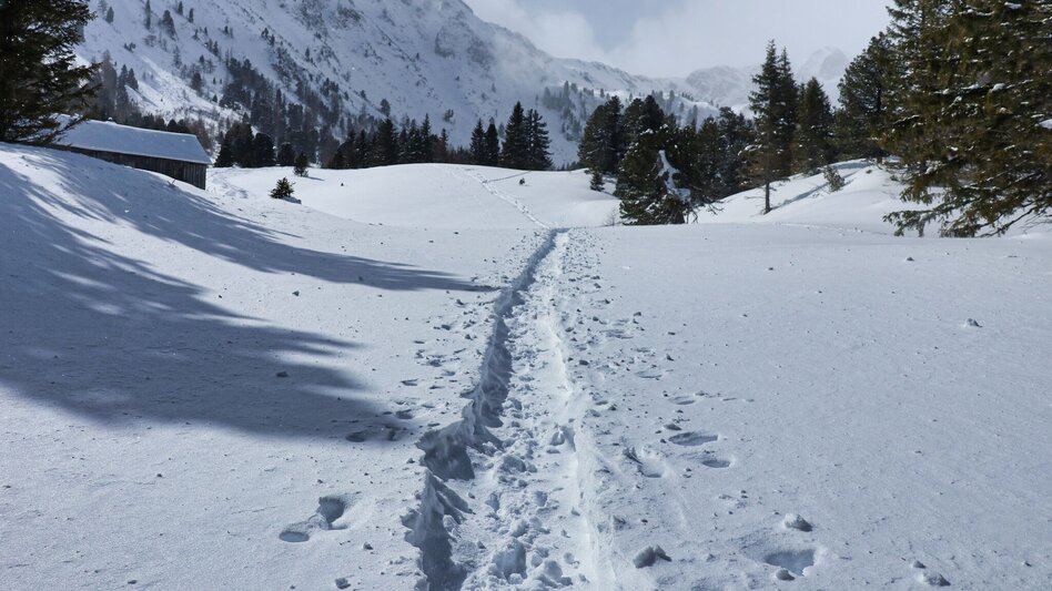 Schneeschuhwandern Edelrautehütte - markierter Schneeschuh-Trail in Hohentauern - Touren-Impression #2.10 | © Weges OG