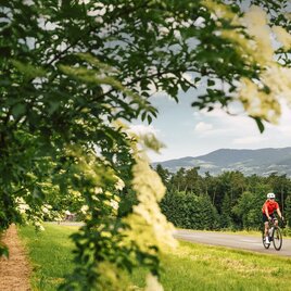 Rennradfahren_Apfelland_Oststeiermark  | © Oststeiermark Tourismus