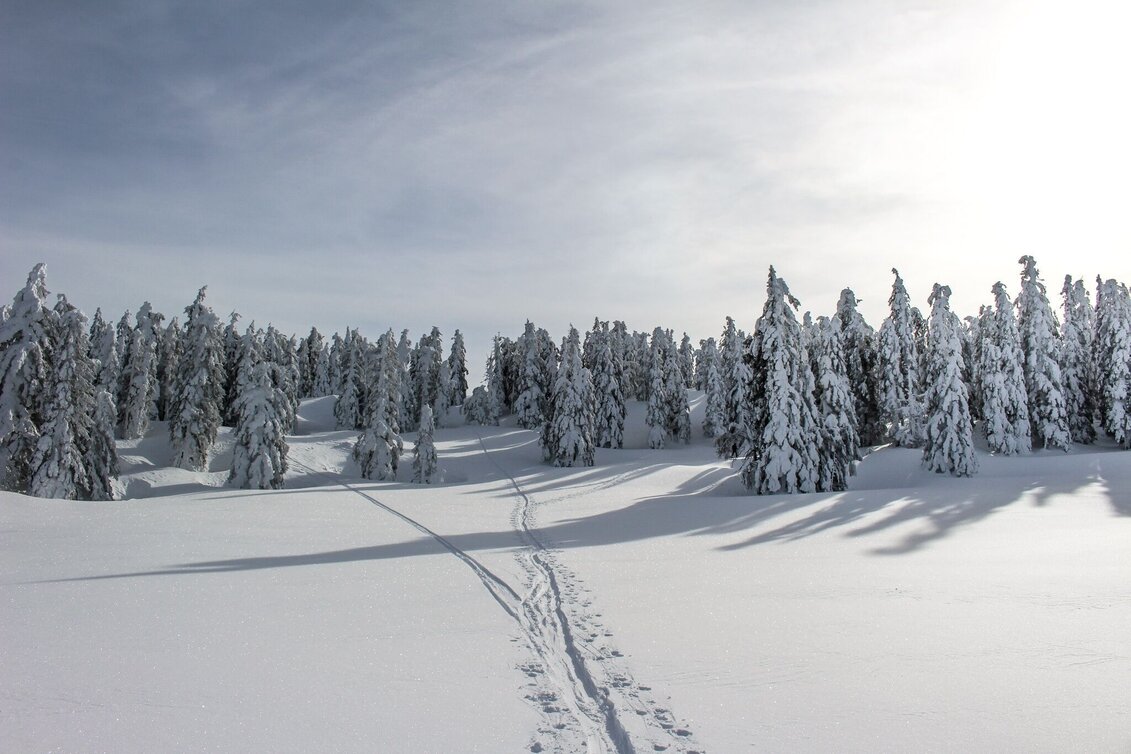 Skitour Skitour auf das große Tragl | Abfahrt durch Haberboden und Geisterwald - Touren-Impression #1 | © Tourismusverband Ausseerland Salzkammergut