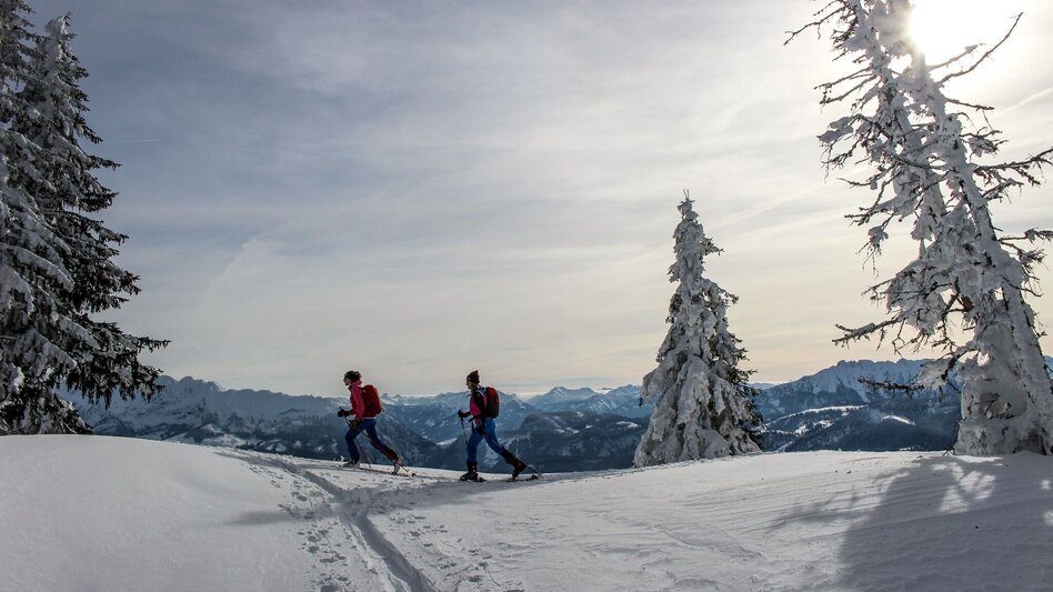 Skitour Skitour auf das große Tragl | Abfahrt durch Haberboden und Geisterwald - Touren-Impression #2.2 | © Tourismusverband Ausseerland Salzkammergut