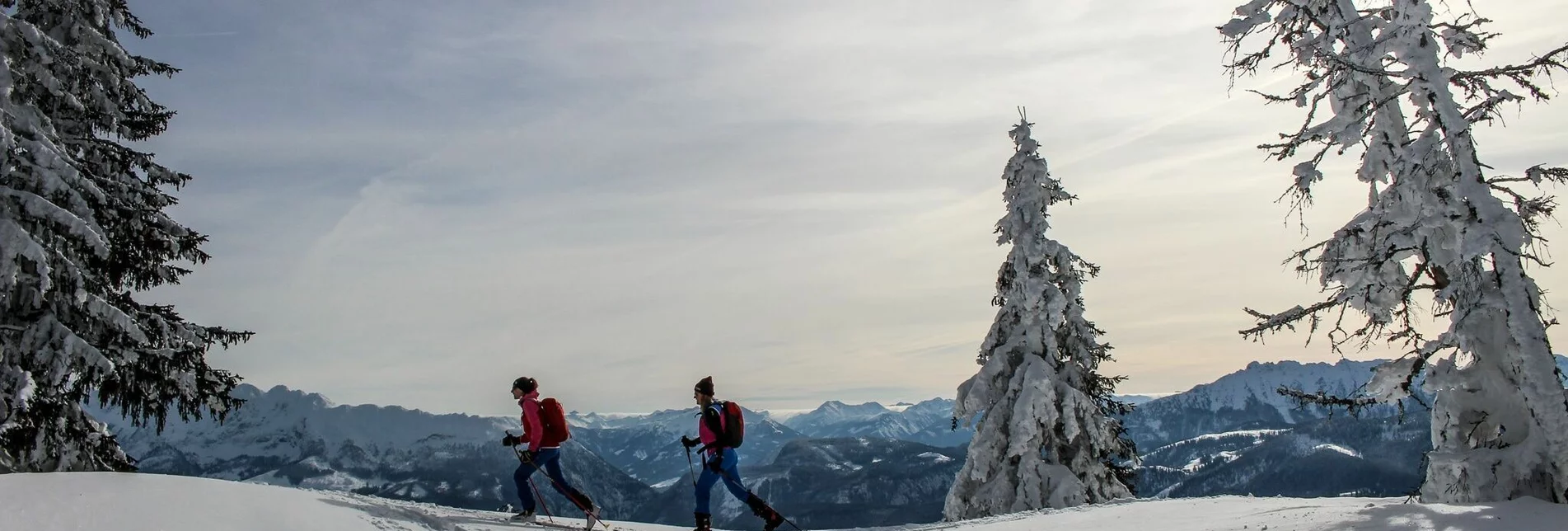 Skitour Skitour auf das große Tragl | Abfahrt durch Haberboden und Geisterwald - Touren-Impression #1 | © TVB Ausseerland - Salzkammergut