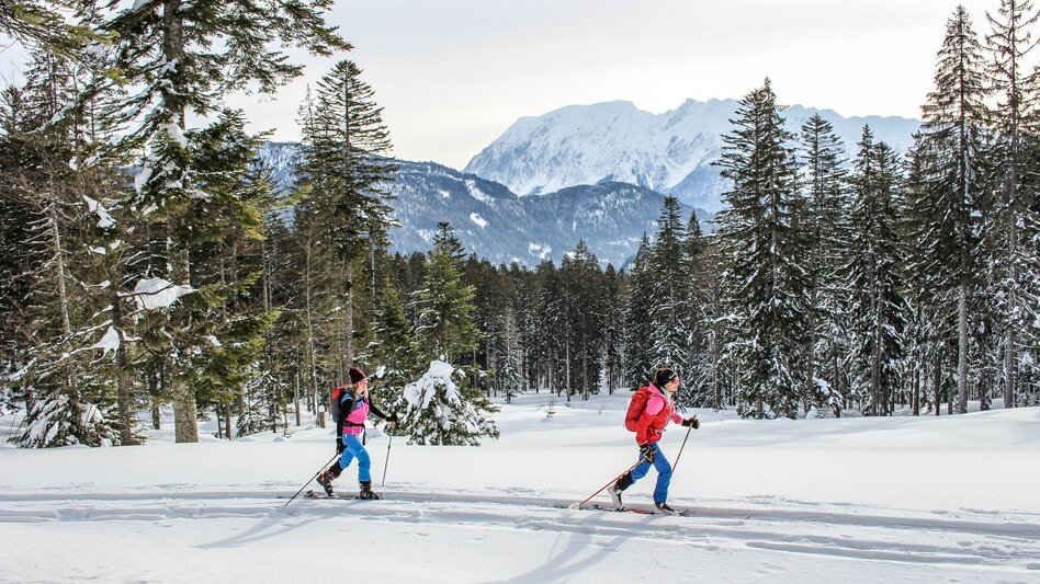 Skitour Skitour auf das große Tragl | Abfahrt durch Haberboden und Geisterwald - Touren-Impression #2.3 | © Tourismusverband Ausseerland Salzkammergut