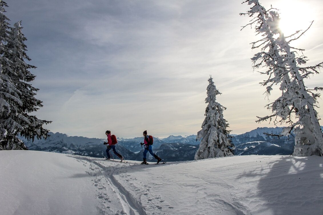 Skitour Skitour auf den Scheiblingtragl - Touren-Impression #1 | © Tourismusverband Ausseerland Salzkammergut