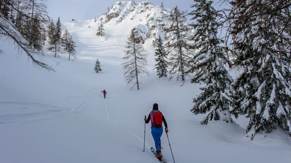 Skitour Skitour auf den Scheiblingtragl - Touren-Impression #2.4 | © Tourismusverband Ausseerland Salzkammergut