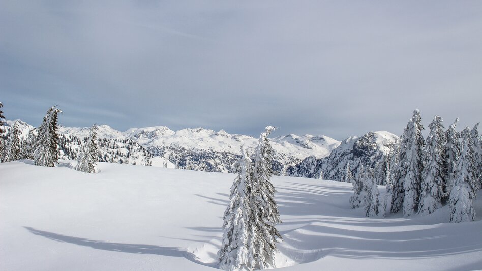 Skitour Skitour auf den Elm - Touren-Impression #2.2 | © Tourismusverband Ausseerland Salzkammergut