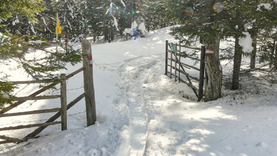 Schneeschuhwandern Schneeschuhwanderung Reinischkogel - Touren-Impression #2.2 | © Weges OG