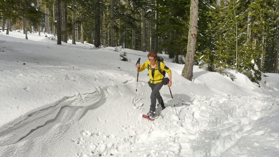 Schneeschuhwandern Schneeschuhwanderung Reinischkogel - Touren-Impression #2.3 | © Weges OG