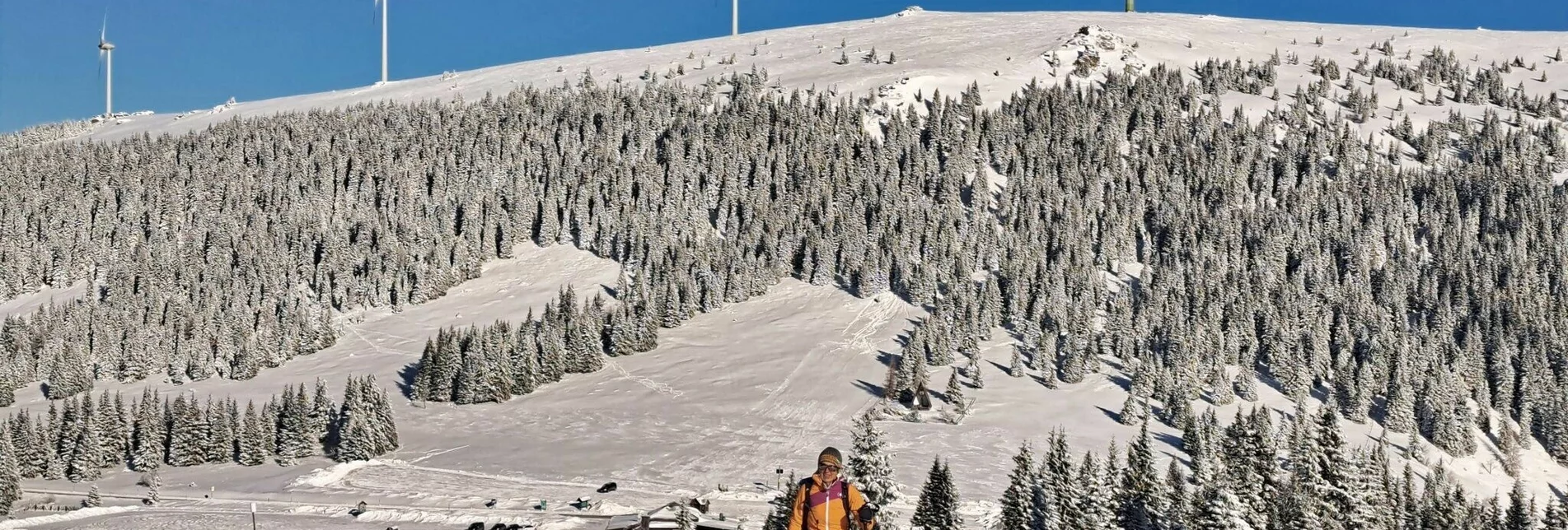 Snowshoe walking Schneeschuhwanderung Moschkogel - Touren-Impression #1 | © Weges OG