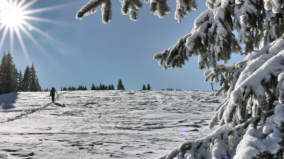 Snowshoe Walking Schneeschuhwanderung Moschkogel - Touren-Impression #2.1 | © Weges OG