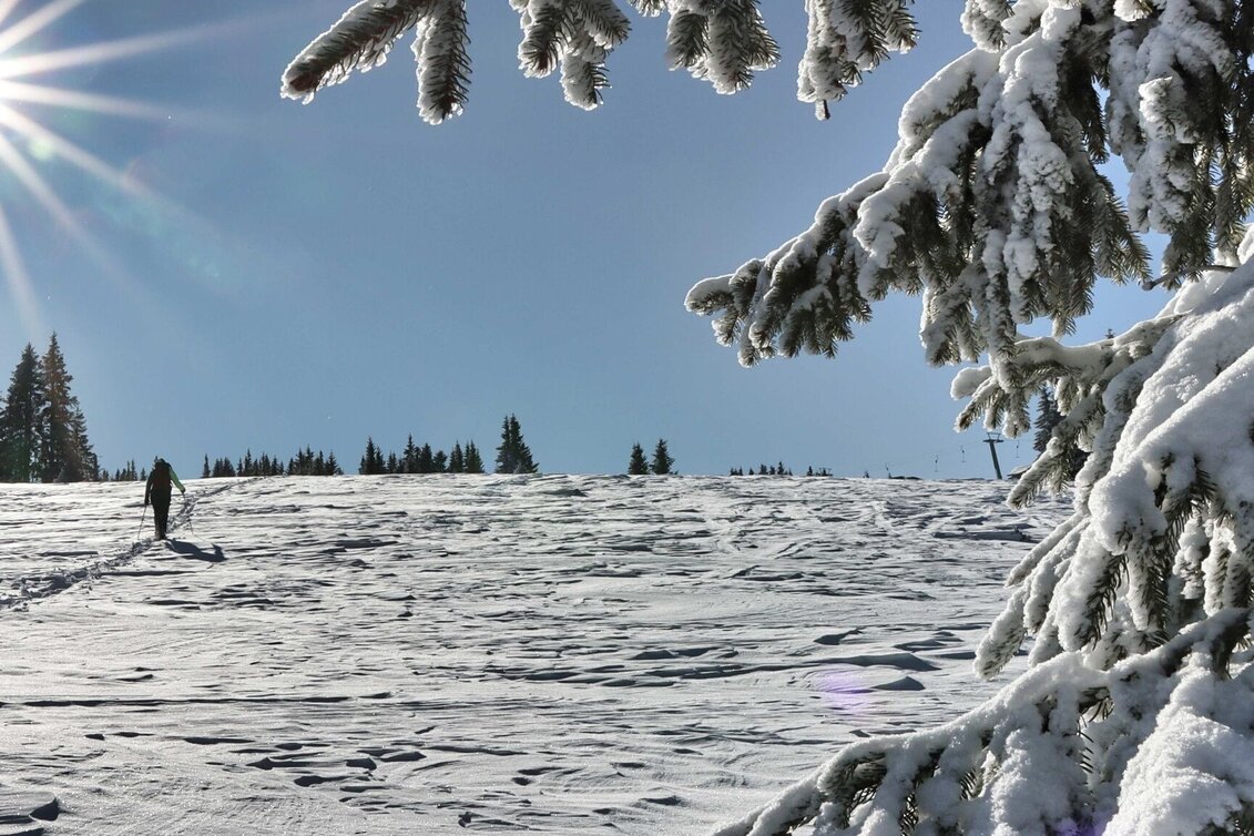 Snowshoe Walking Schneeschuhwanderung Moschkogel - Touren-Impression #1 | © Weges OG