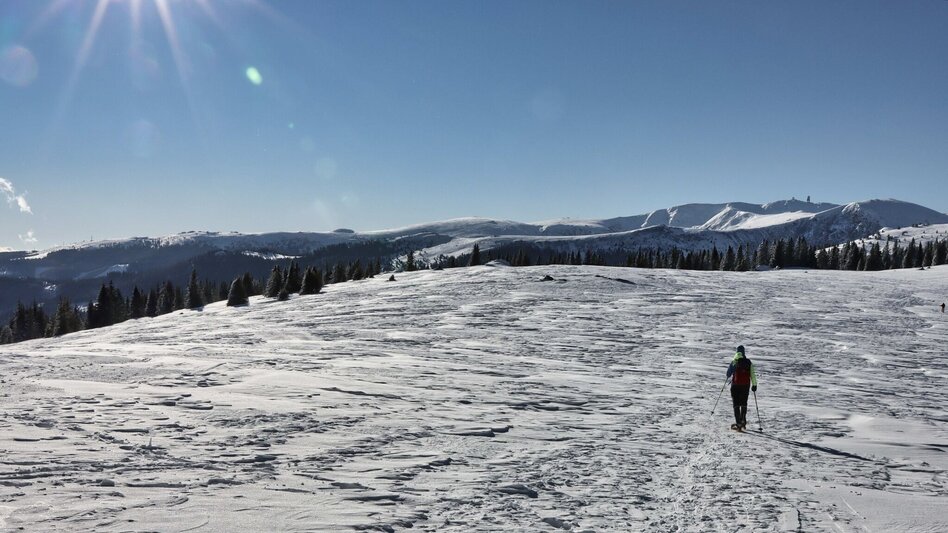 Snowshoe Walking Schneeschuhwanderung Moschkogel - Touren-Impression #2.3 | © Weges OG