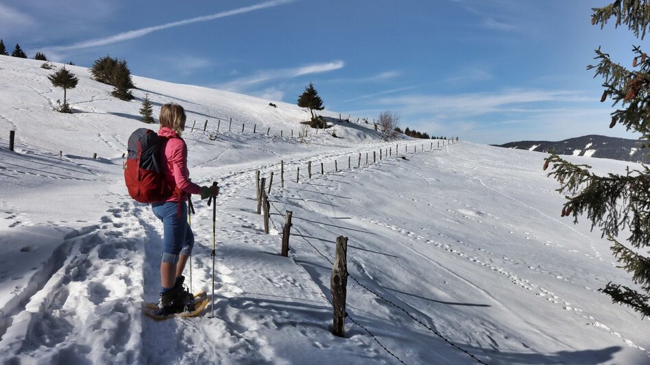 Schneeschuhwandern Schneeschuhwanderung Dreieckkogel - Touren-Impression #2.2 | © Weges OG
