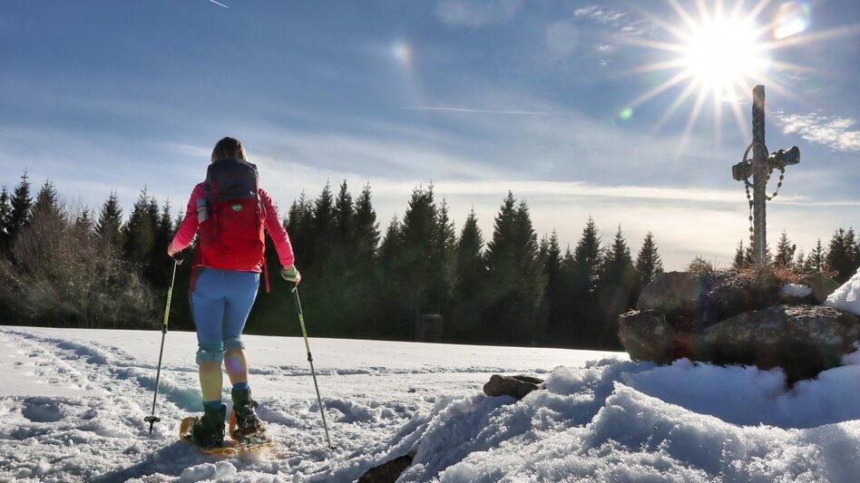 Schneeschuhwandern Schneeschuhwanderung Dreieckkogel - Touren-Impression #2.1 | © Weges OG
