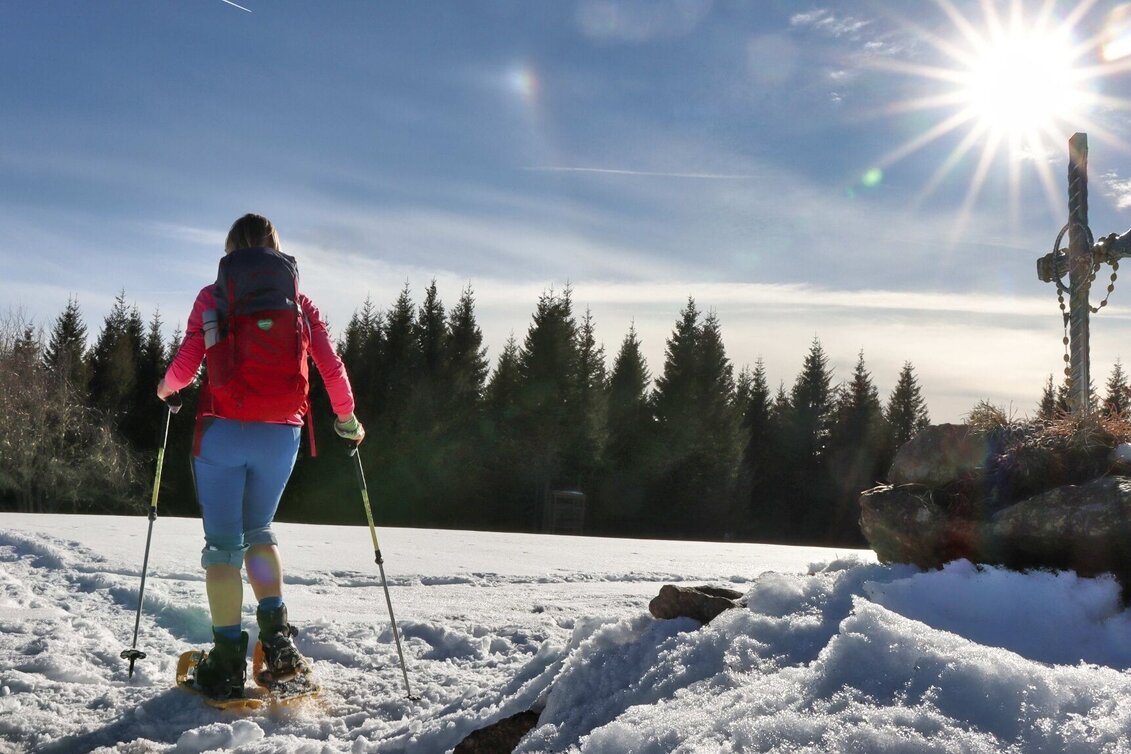 Schneeschuhwandern Schneeschuhwanderung Dreieckkogel - Touren-Impression #1 | © Weges OG