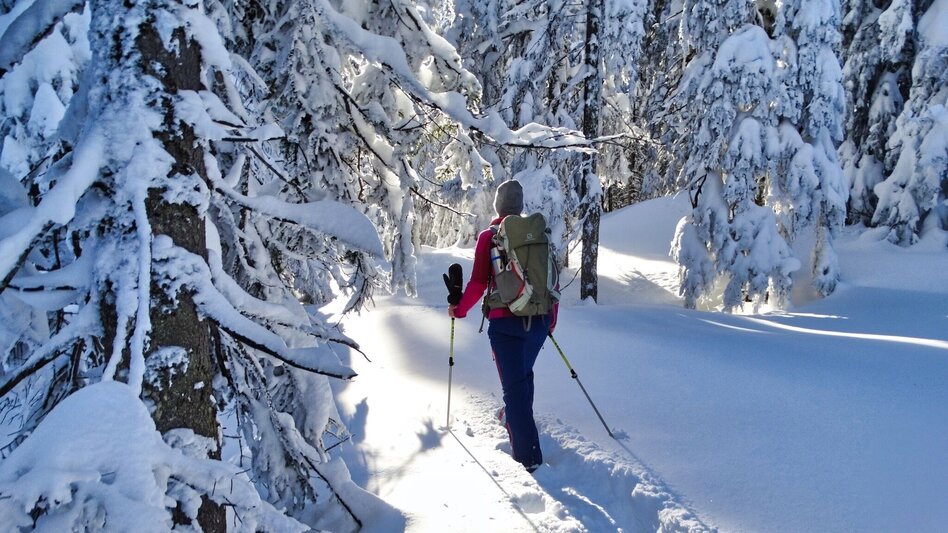 Schneeschuhwandern Schneeschuhwanderung Dreieckkogel - Touren-Impression #2.3 | © Weges OG