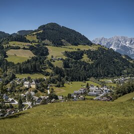 20250808_Aigen-Gatschberg-Donnersbach_4019.jpg | © Gerhard Pilz