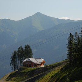 Oxenalm | © Erlebnisregion Schladming-Dachstein