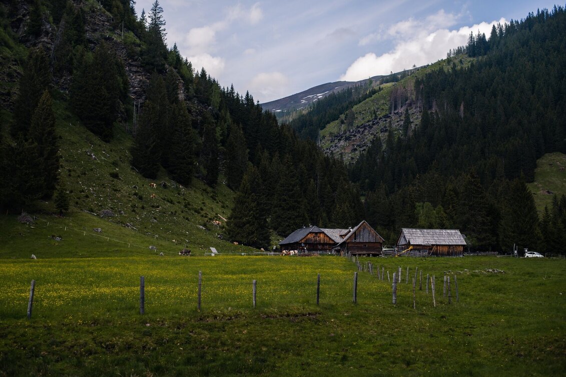 Hiking Route Alpine pasture hike-Planneralm to Lärchkar - Touren-Impression #1 | © Erlebnisregion Schladming-Dachstein