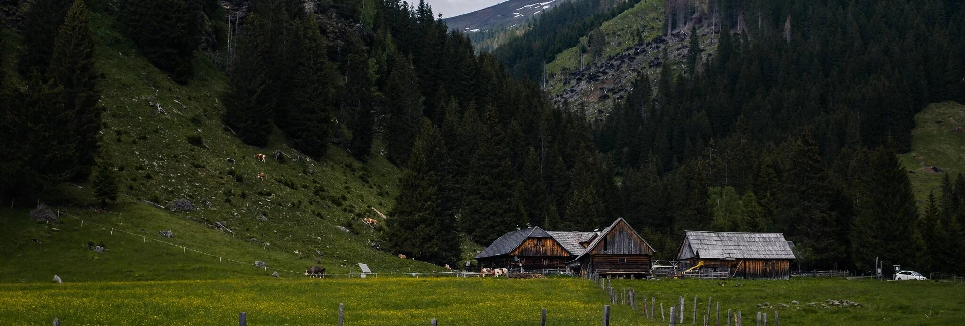 Wanderung Almenwanderung - Planneralm ins Lärchkar - Touren-Impression #1 | © Erlebnisregion Schladming-Dachstein