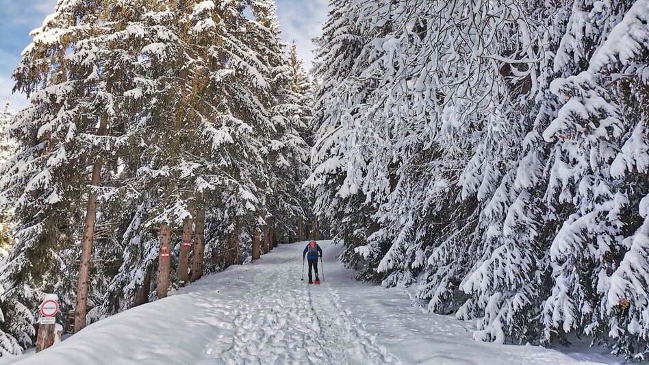 Snowshoe Walking Snowshoe hike Gaaler Höhe - Touren-Impression #2.7 | © Weges OG