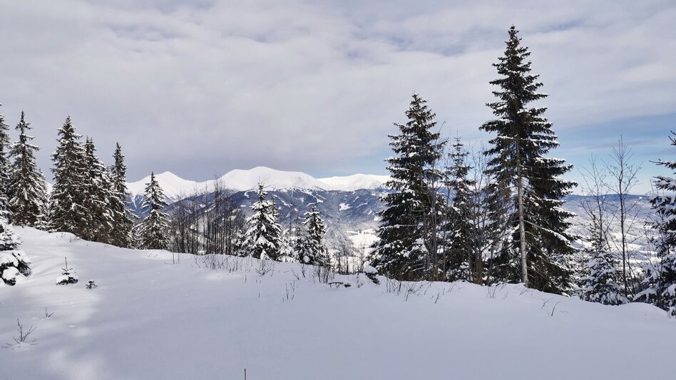 Snowshoe Walking Snowshoe hike Gaaler Höhe - Touren-Impression #2.8 | © Weges OG