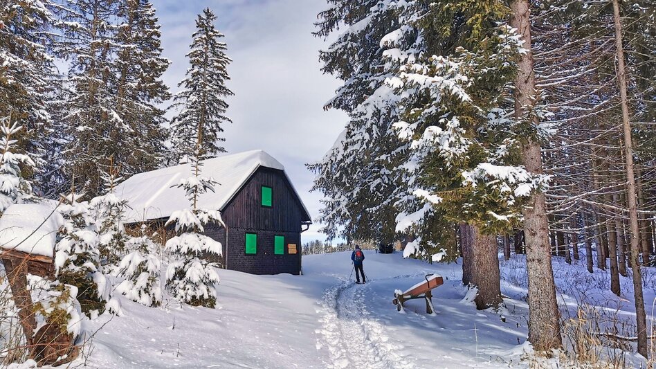 Snowshoe Walking Snowshoe hike Gaaler Höhe - Touren-Impression #2.1 | © Weges OG