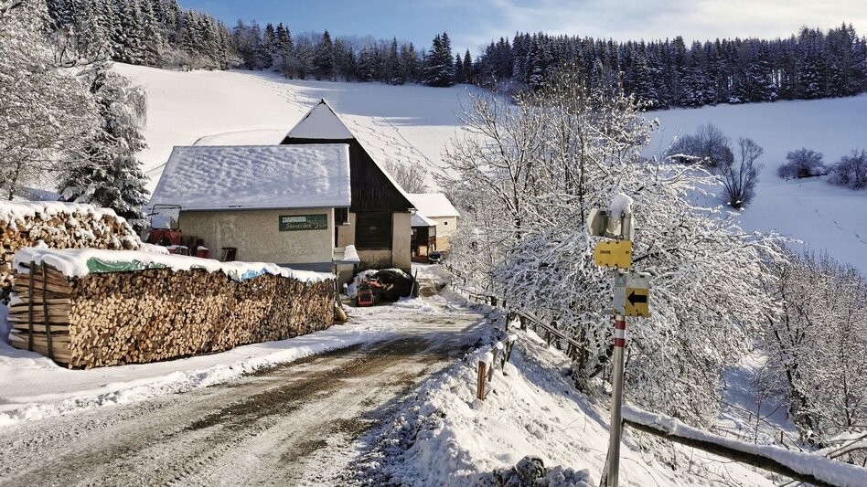 Snowshoe Walking Snowshoe hike Gaaler Höhe - Touren-Impression #2.3 | © Weges OG