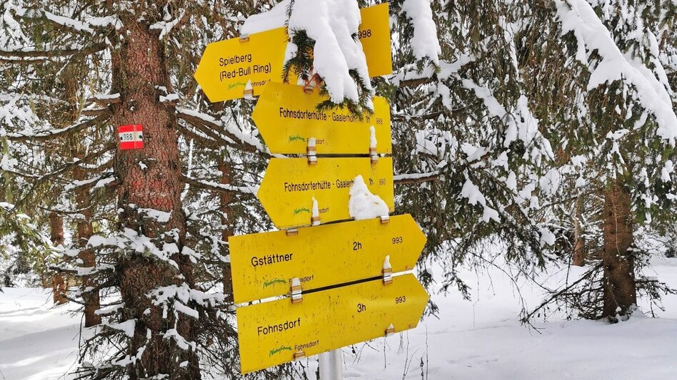 Snowshoe Walking Snowshoe hike Gaaler Höhe - Touren-Impression #2.10 | © Weges OG