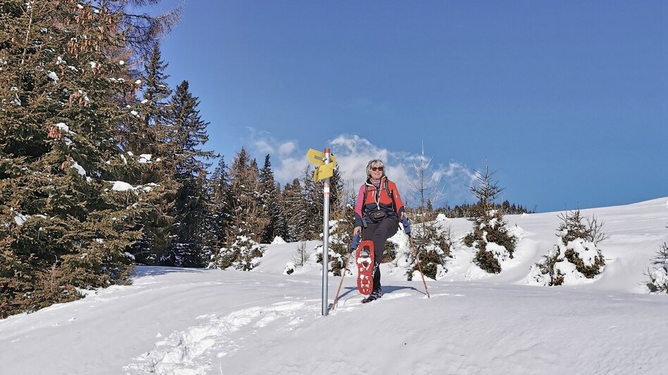 Snowshoe Walking Snowshoe hike Gaaler Höhe - Touren-Impression #2.12 | © Weges OG