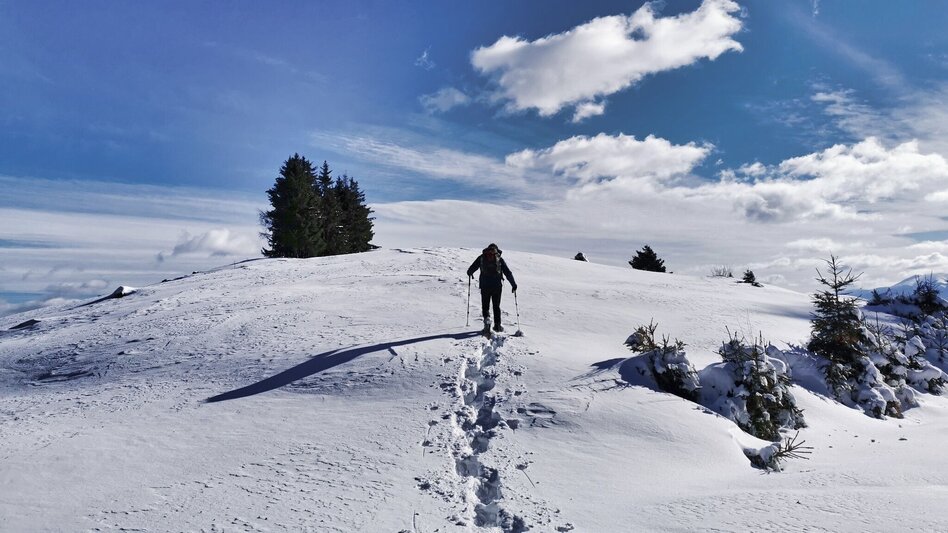 Snowshoe Walking Snowshoe hike Gaaler Höhe - Touren-Impression #2.14 | © Weges OG