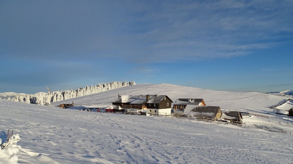Schneeschuhwandern Schneeschuhwanderung Rappoldkogel vom Alten Almhaus - Touren-Impression #2.2 | © WEGES OG