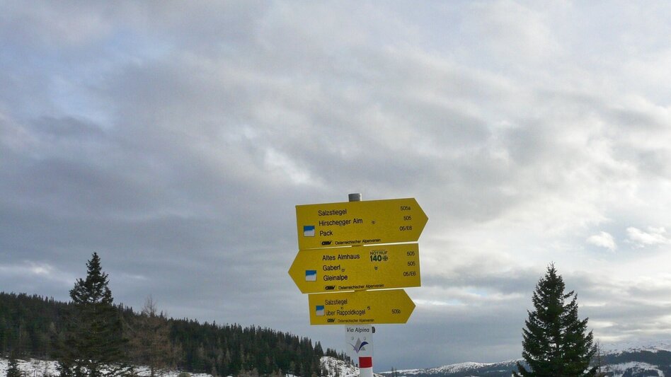 Schneeschuhwandern Schneeschuhwanderung Rappoldkogel vom Alten Almhaus - Touren-Impression #2.3 | © Weges OG
