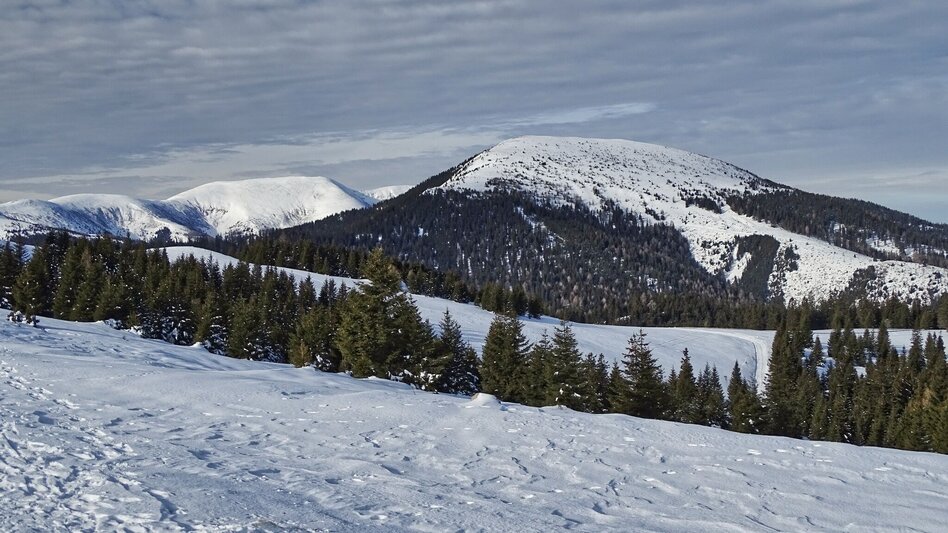 Schneeschuhwandern Schneeschuhwanderung Rappoldkogel vom Alten Almhaus - Touren-Impression #2.4 | © Weges OG