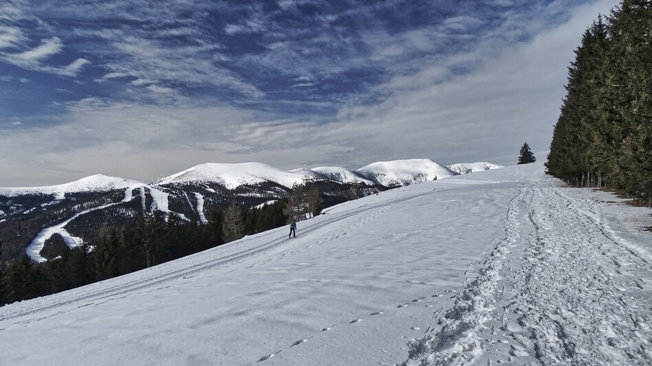 Schneeschuhwandern Schneeschuhwanderung Rappoldkogel vom Alten Almhaus - Touren-Impression #2.5 | © Weges OG