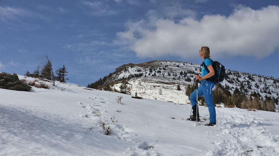 Schneeschuhwandern Schneeschuhwanderung Rappoldkogel vom Alten Almhaus - Touren-Impression #2.8 | © Weges OG